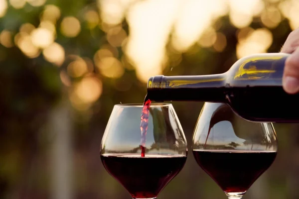 Vino tinto Cabernet Savignon Vino Tinto Merlot Sangria