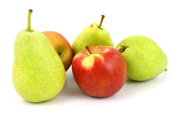 Frutero